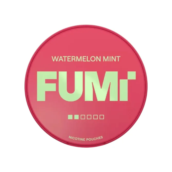 FUMI Watermelon Mint Regular