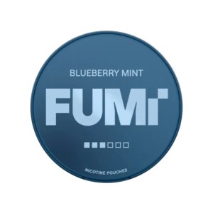 FUMI Minty Blueberry Strong
