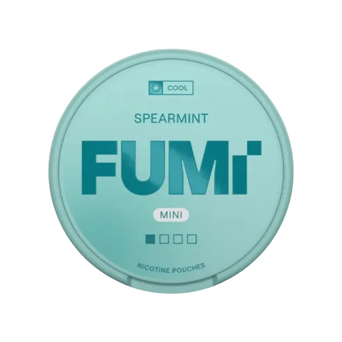 FUMi Spearmint Mini Regular