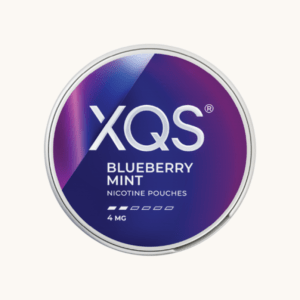 XQS Blueberry Mint